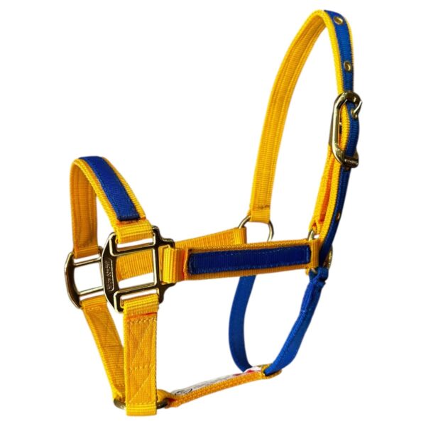 Almartigon amarillo/azul