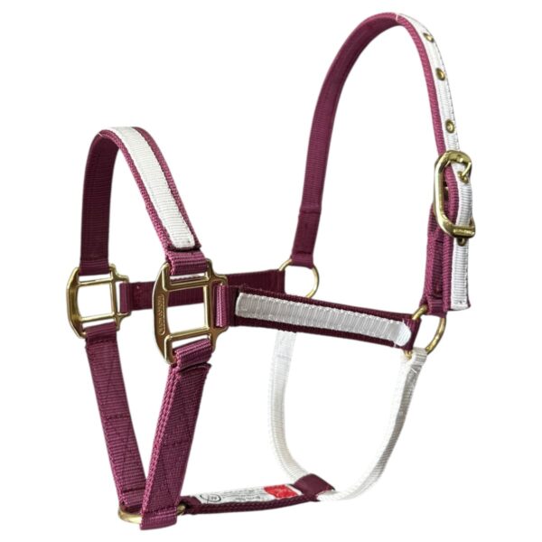 Almartigon morado/blanco