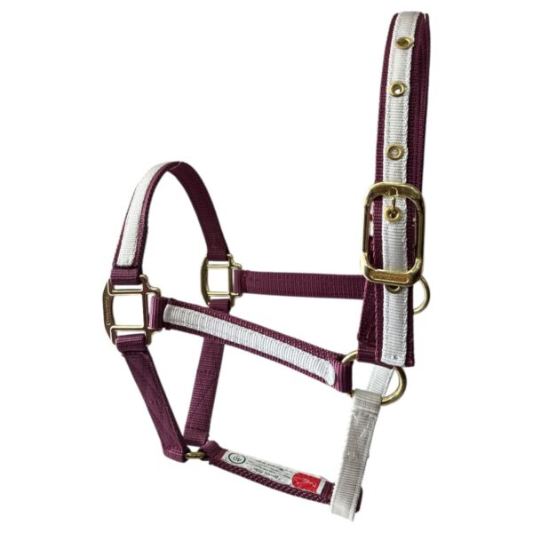 Almartigon morado/blanco