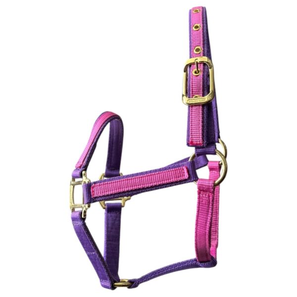 Almartigon morado/rosa